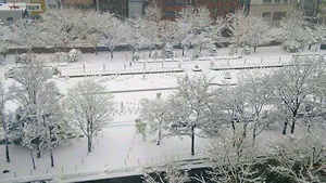 雪模様の大通公園