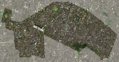 武蔵野市の衛星写真001