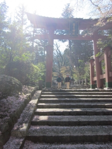 弥彦神社2