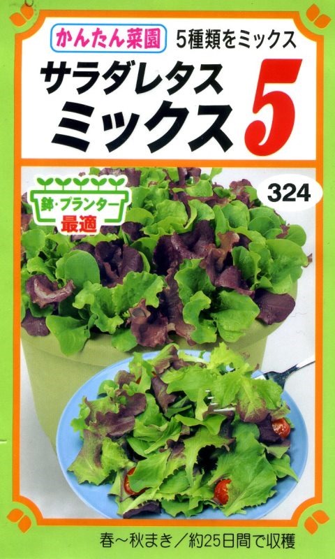 140328salad lettuce
