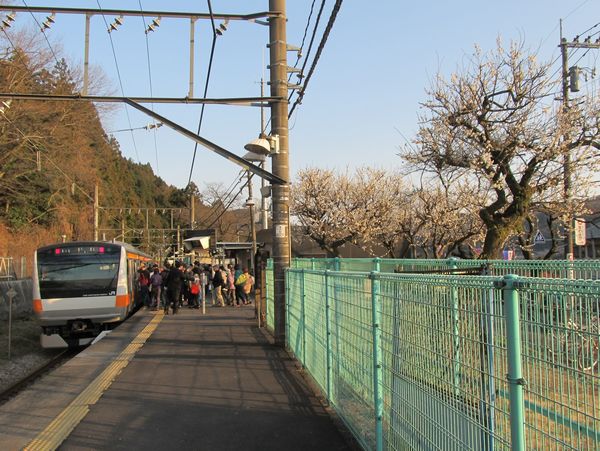 青梅市梅の公園最寄り、JR青梅線日向和田駅